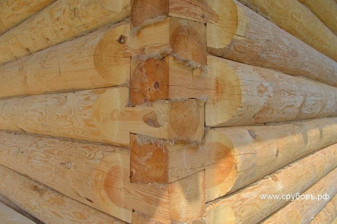 How to seal the corners of a log house in a paw