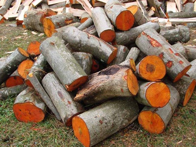 Какие дрова лучше для печки: теплотворность, самые жаркие