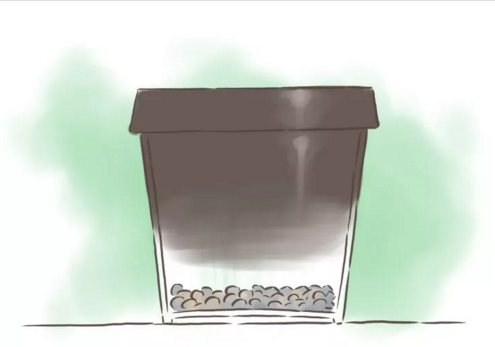Before adding soil to the container, you will need to spread a layer of gravel at the bottom to improve drainage