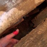 Разрушение гнилью деревянного пола в бане