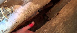 Разрушение гнилью деревянного пола в бане